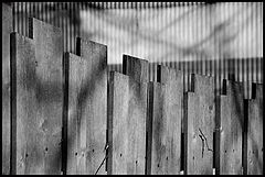 photo "***"