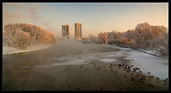 фото "Нежаркое солнце"