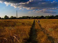 фото "Домой"