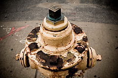 фото "Water Damage"