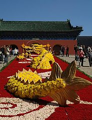 photo "Chineese dragon"