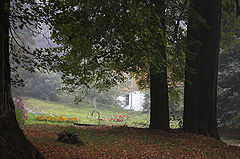 photo "Autumn has come in August ..."