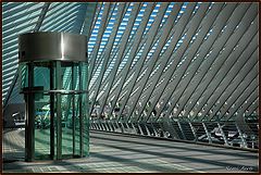 photo "Liege-Station Guillemins"