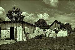 photo "***"
