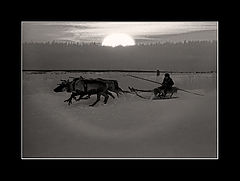photo "***"