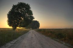 фото "туманное утро"