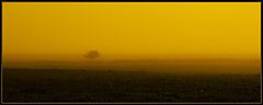 photo "Loneliness in the mist"