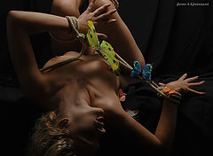 photo "кривицкий"