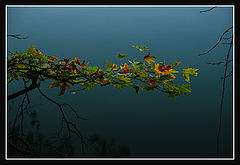 photo "***"