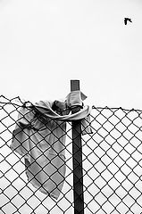 photo "Shirt on Fence, Norway 2007"