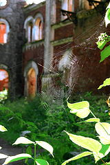 photo "On the ruins"