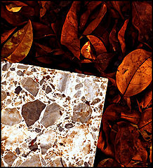 photo "***Art conceptual."