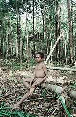 photo "***"