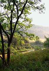 photo "***"