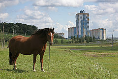 фото "Городская окраина"