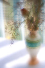 photo "***"