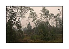 photo "***"