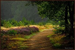 фото "my paradise"