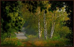 фото "end of my street"