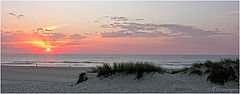photo "white sand and sun"