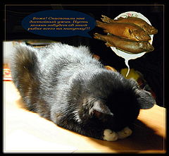 photo "Prayer"