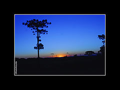 photo "***"
