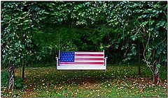 photo "Patriotic Swinger"