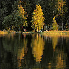 photo "***"