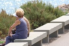 фото "conversation under the sun"