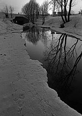 photo "***"