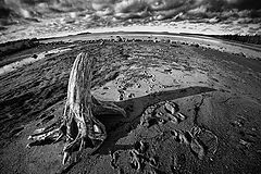 фото "Старик и море"