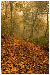 photo "***"