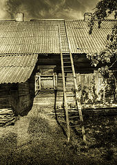 photo "***"