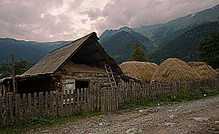 photo "***"