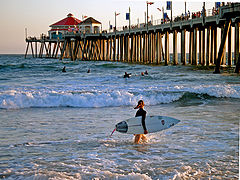 фото "The Surf Board"