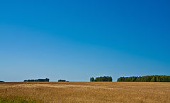 photo "***"