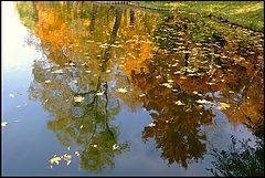 photo "***"