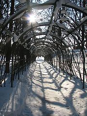 фотоальбом "Пейзажи"