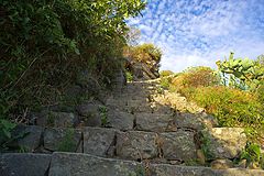 фото "the ascent"