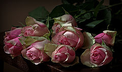 фото "Розы для любимой"