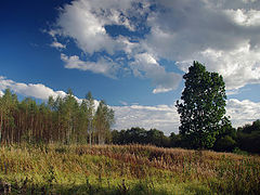 photo "Autumn Evening"