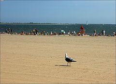 photo "Beach"