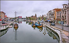 photo "rainy day"