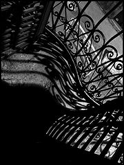 фото "Distorsion."