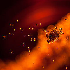 фото "september heart"