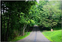 photo "Little Bit Country"
