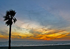 фото "Sky at sunset"
