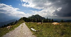 фото "Simple Alps Landscape #2"