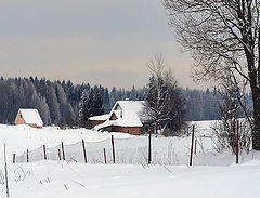 photo "***"