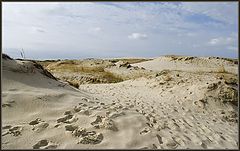 photo "Footprints in the sand"